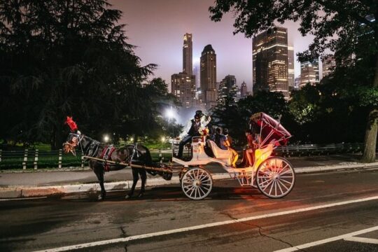 Central Park, Rockefeller & Times Square Carriage Ride (4 Adults)