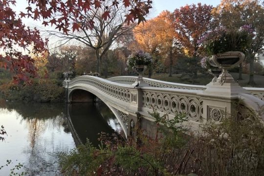 New York City Scavenger Hunt: Central Park Adventure