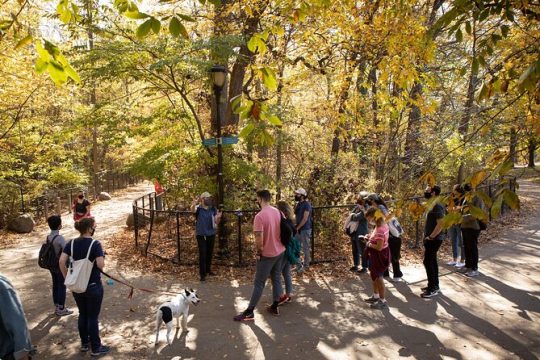 Prospect Park Tour