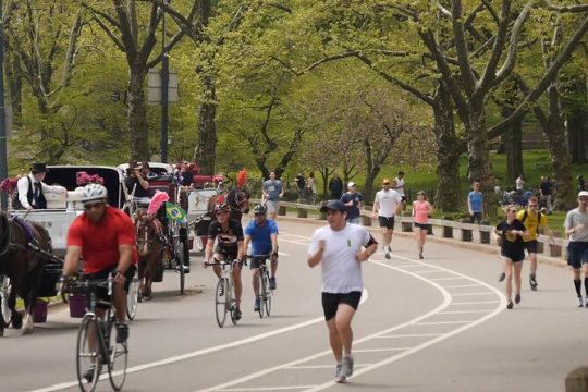 Story Behind Central Park: Manhattan’s Backyard, Wilderness by Design