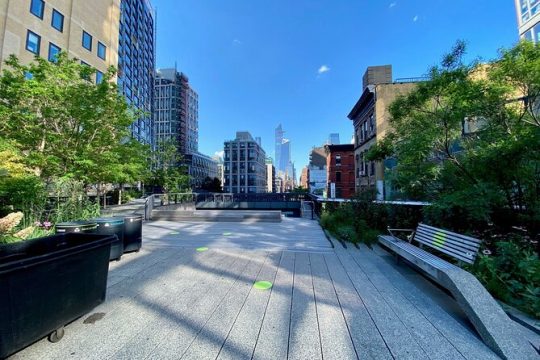 The Story of the High Line Elevated Park and Hudson Yards