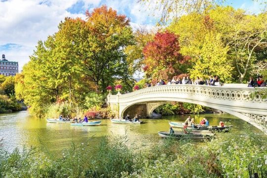 Central Park Walking Tour