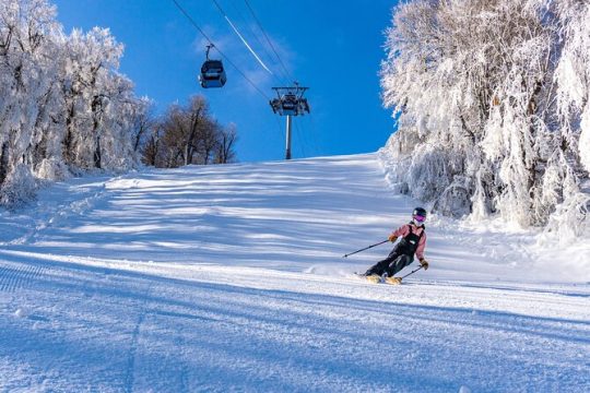 Belleayre Mountain Ski Center Day Trip from New York City