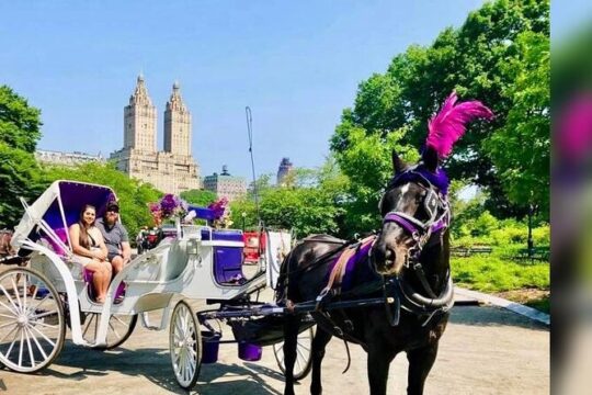 Central Park Tour