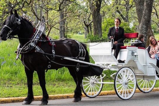 Central Park horse Carriage Rides