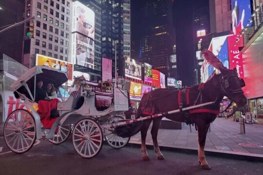 NYC Christmas Light and Rocfeller Tour