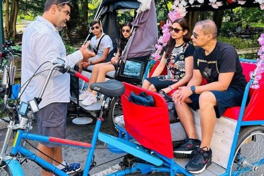 New York Central Park Guided Pedicab Tour - 90 minutes