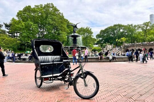 Central Park Pedicab Guided Tour