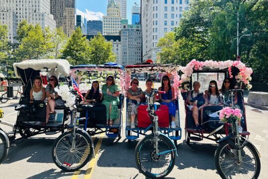 NYC Central Park guided Pedicab Tour - 2 hours