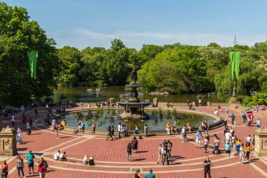 Central Park tour by pedicab. Life changing experience