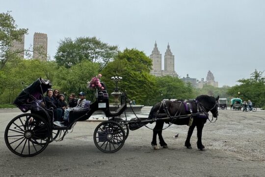 Private Horses Carriage Ride Tour in Central Park with a Guide