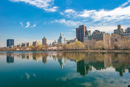 Private Walking Tour of Midtown Manhattan and Central Park