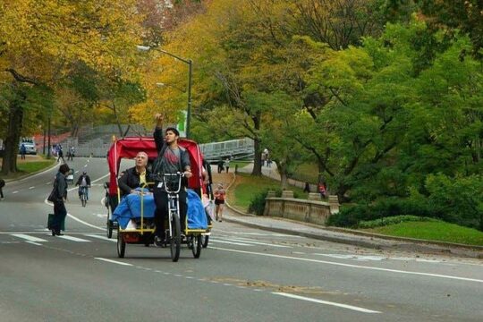 Private Central Park Pedicab Sightseeing Tour