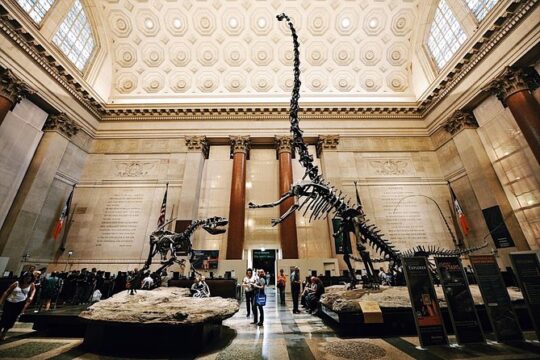 Met & Natural History Museum Skip-the-Line Combo Tour - Semi-Private 8ppl Max