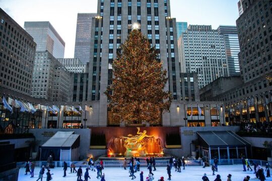 Private Walking Tour in New York with Local Guide