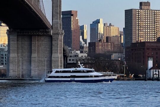 Sightseeing Cruise at Lady Liberty Skyline and Bridges