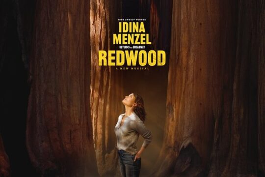 Redwood Starring Idina Menzel on Broadway Ticket