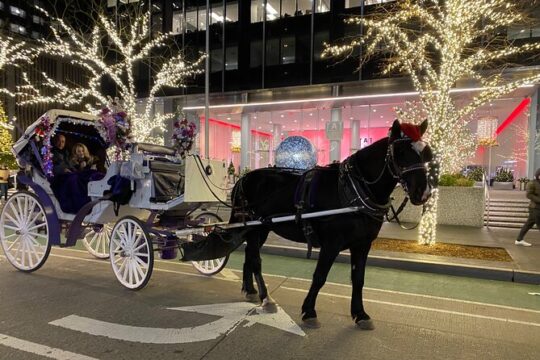 NYC Rockefeller Center Christmas Lights Horse Carriage Ride