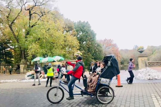 Central Park Guided Pedicab Tour in New York