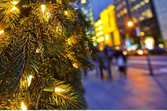 Festive Holiday Trees and Treats Crawl in NYC