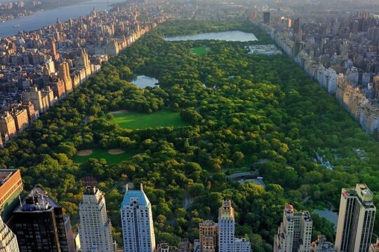 Classic 1-Hour Central Park Pedicab Tour