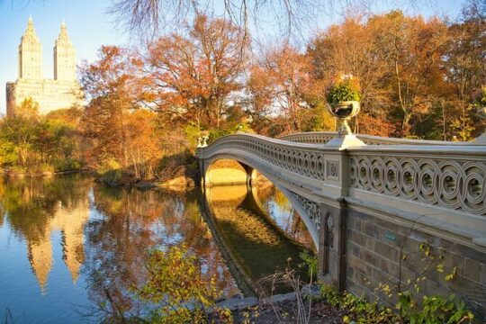 Sunny Side Up Diner Breakfast and Central Park Journey