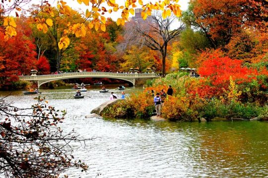 Hire Photographer, Professional Photo Shoot - Central Park NY