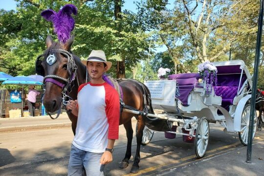 Official Authorized Carriage Ride Company in NYC